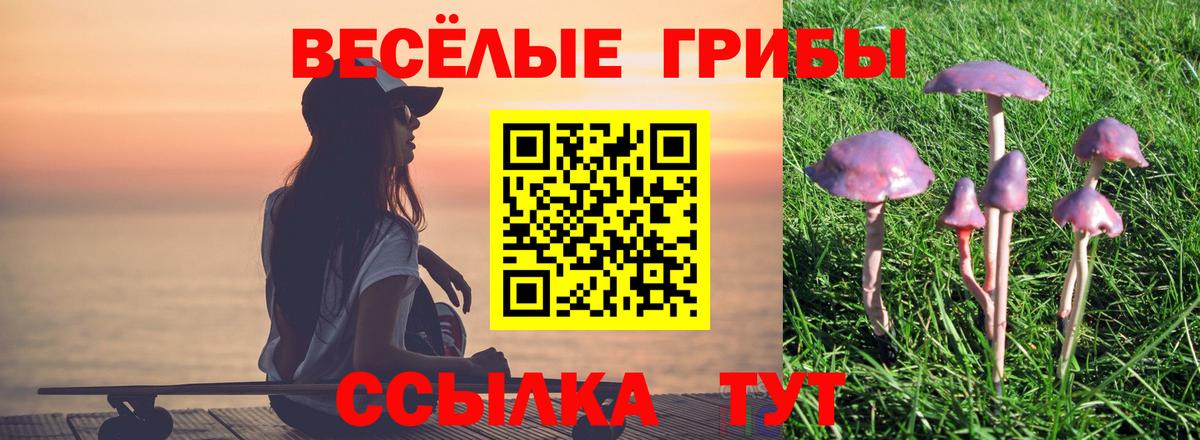 Ессентуки  Псилоцибиновые грибы GOLDEN TEACHER  цена наркотик  Вход с VPN 